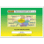Ealing & Hillingdon - Training Manual