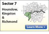 Sector 7