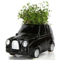 Taxi Planter/Desk Tidy